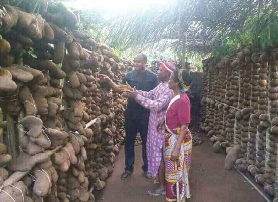 7333b2b6-590f-4336-a3c5-93634f852d39